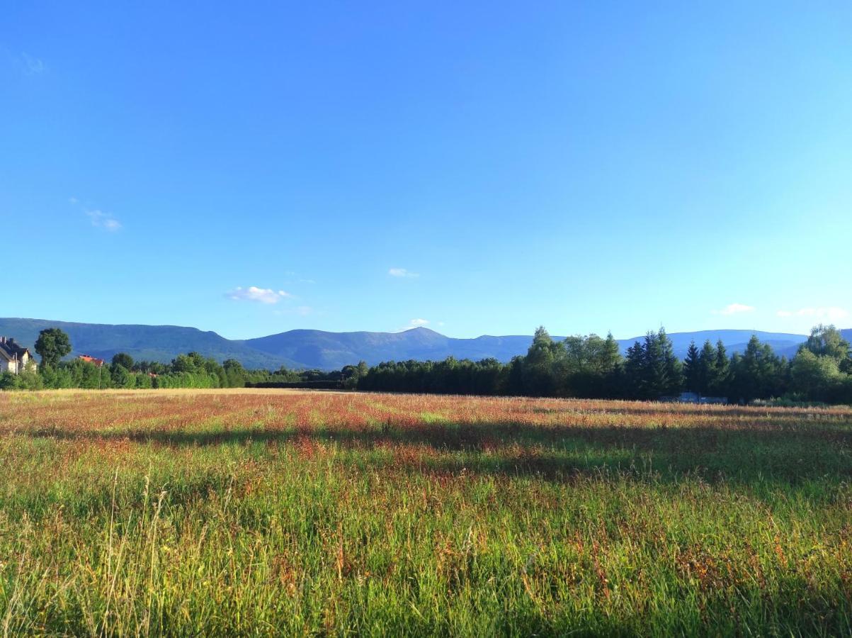 Willa Kolorowa Chata 6 Km Od Karpacza Mysłakowice Kültér fotó