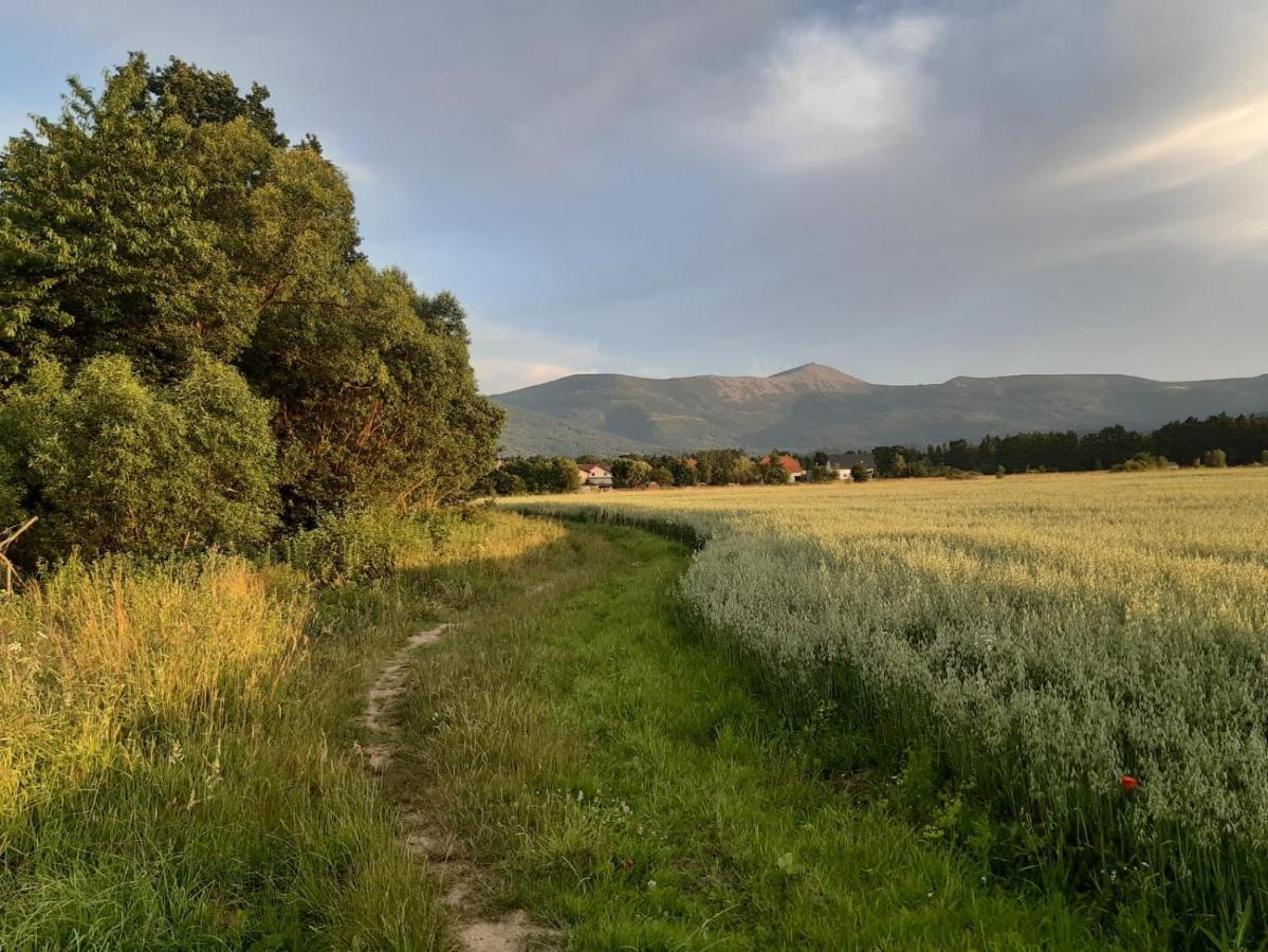 Willa Kolorowa Chata 6 Km Od Karpacza Mysłakowice Kültér fotó